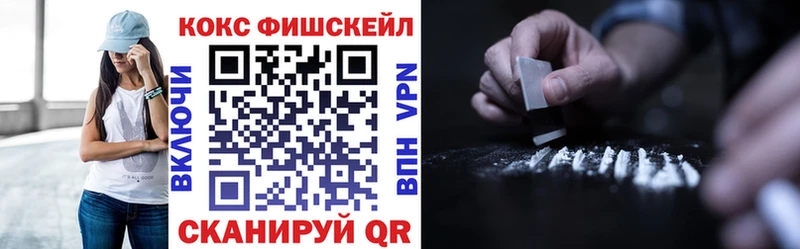 Купить закладки  Няндома  COCAIN FishScale 