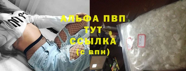 гашик Дмитровск