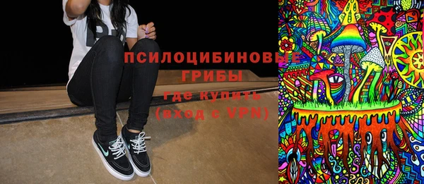 мяу мяу мука Дмитриев