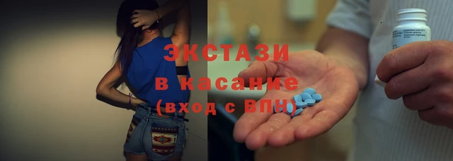 гашик Дмитровск