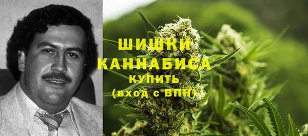 гашик Дмитровск