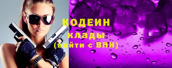 гашик Дмитровск
